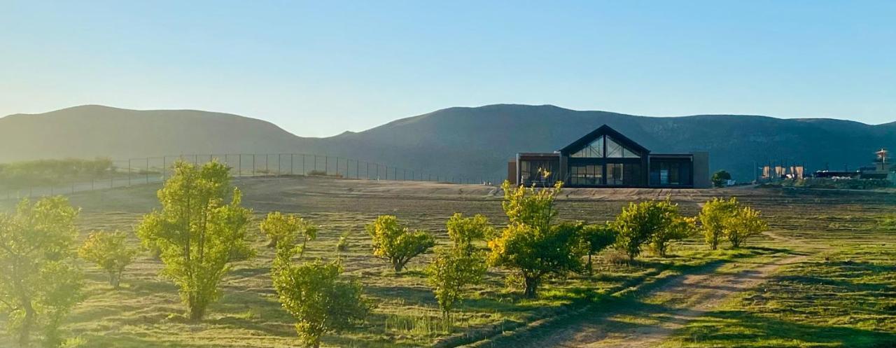 Hotel Xaroma Valle de Guadalupe Zewnętrze zdjęcie